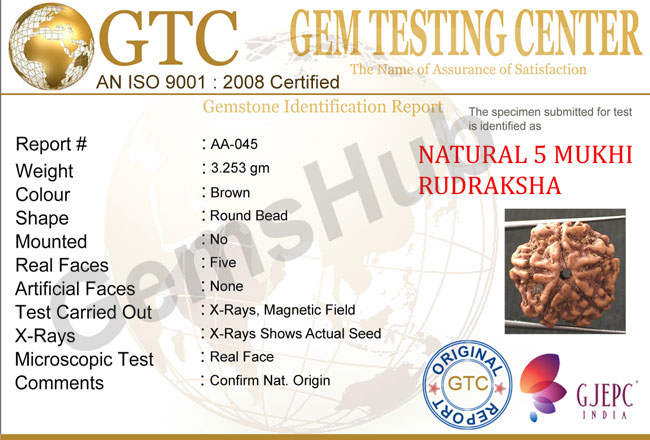 5 Mukhi Certified Nepali Rudraksha